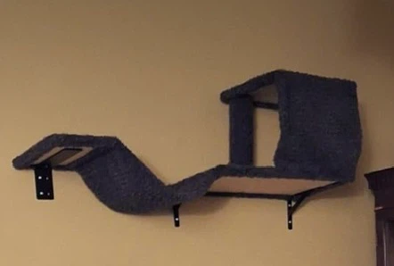 Wall-mounted carpeted cat shelf and bridge