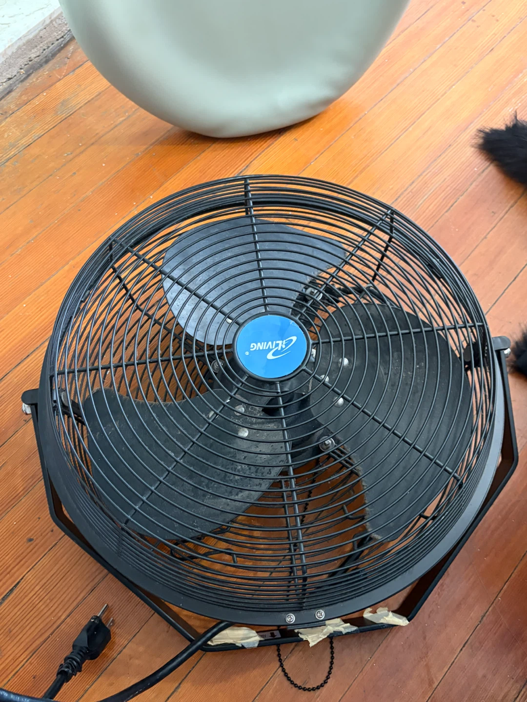 CLiving Black Floor Fan