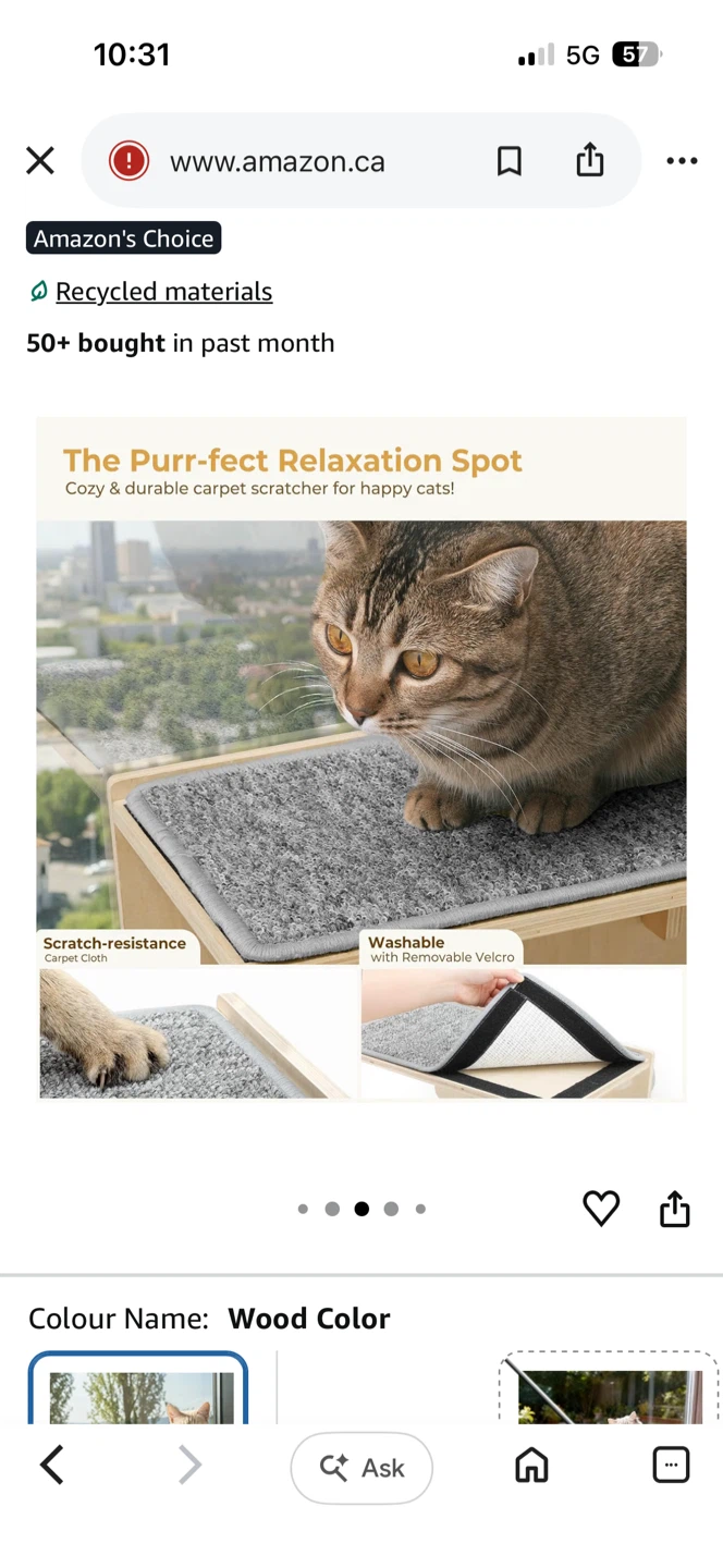 Brand new Pecute 2-in-1 Cat Window Perch & Wall Shelf large size - photo 4