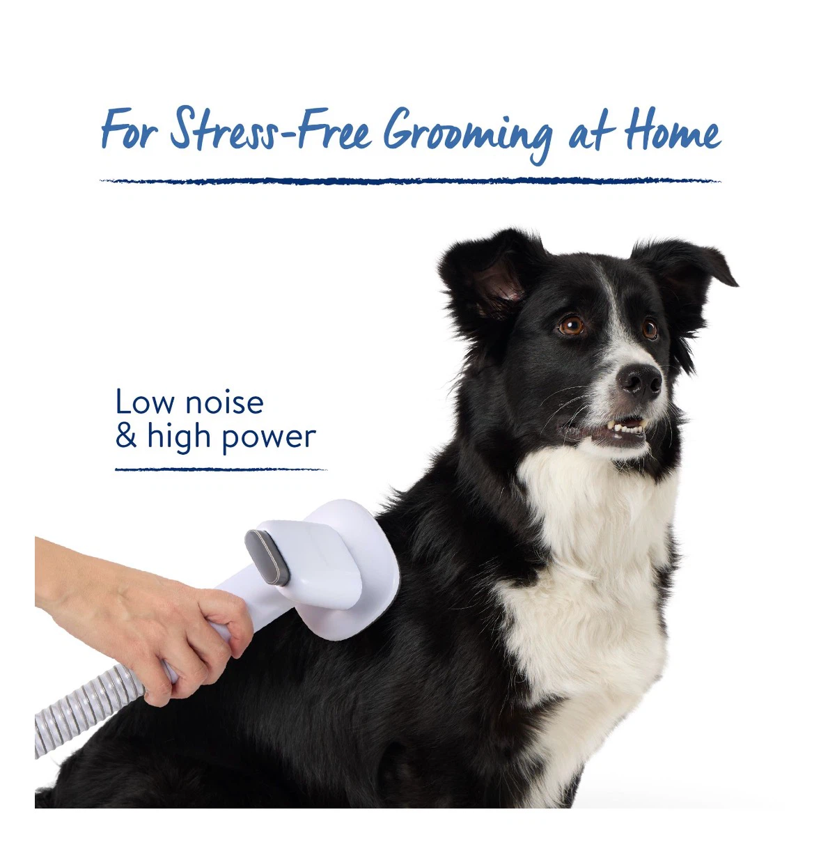 Top Paw 8-in-1 At-Home Pet Grooming Vacuum Kit - photo 5