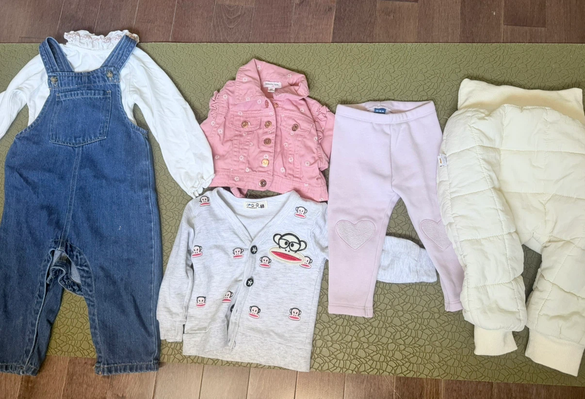 Toddler Girl Clothing Bundle 12-18month