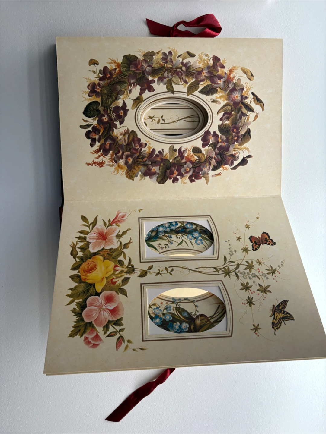 The Victorian Photograph Album 🏈 - photo 4