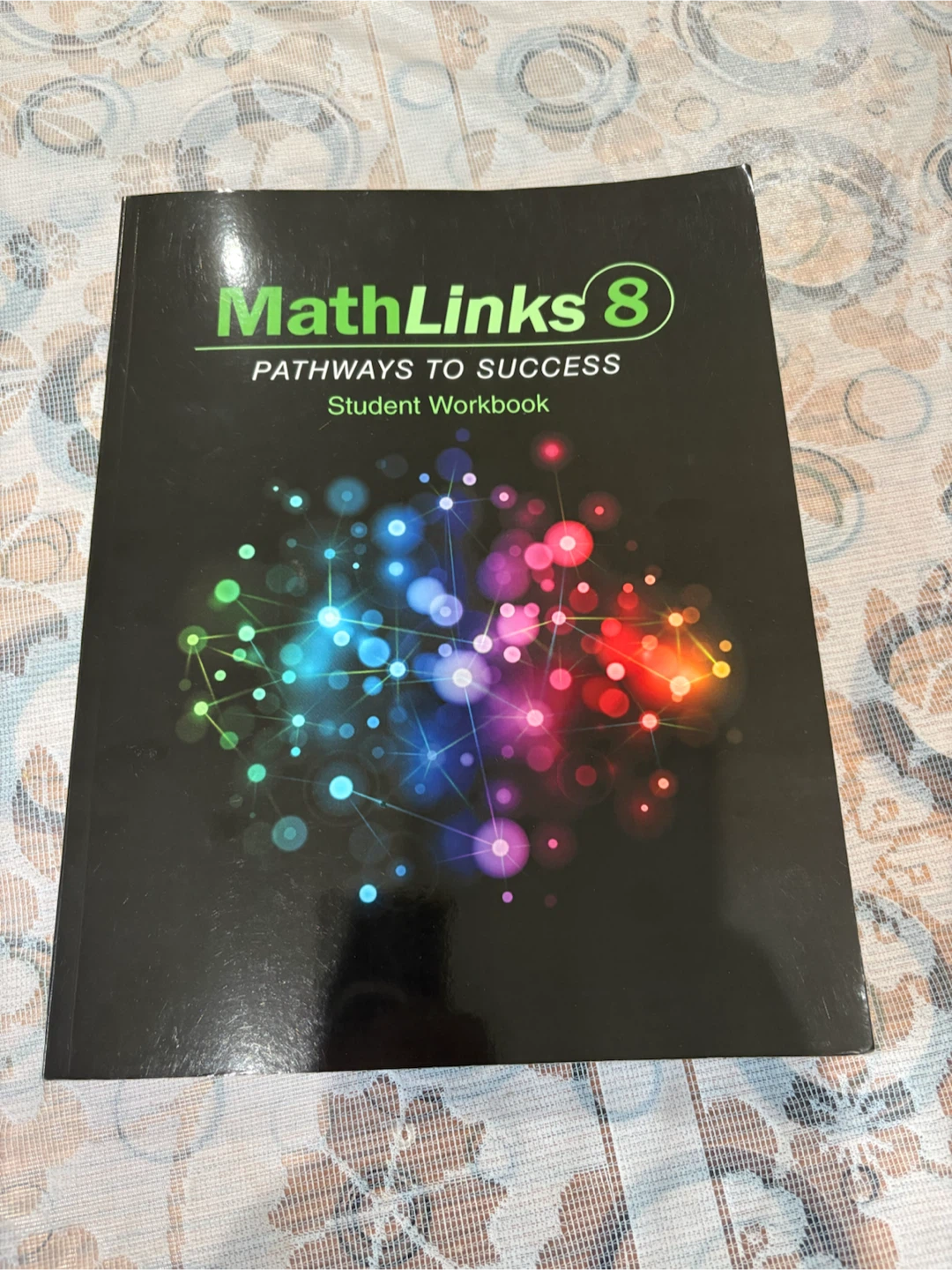 MathLinks 8 Pathways to Success Student Workbook 🏈