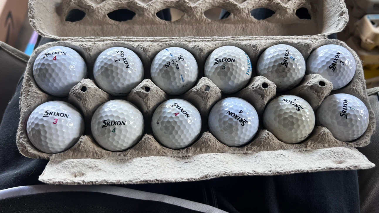 1 Dozen Used Srixon Golf Balls