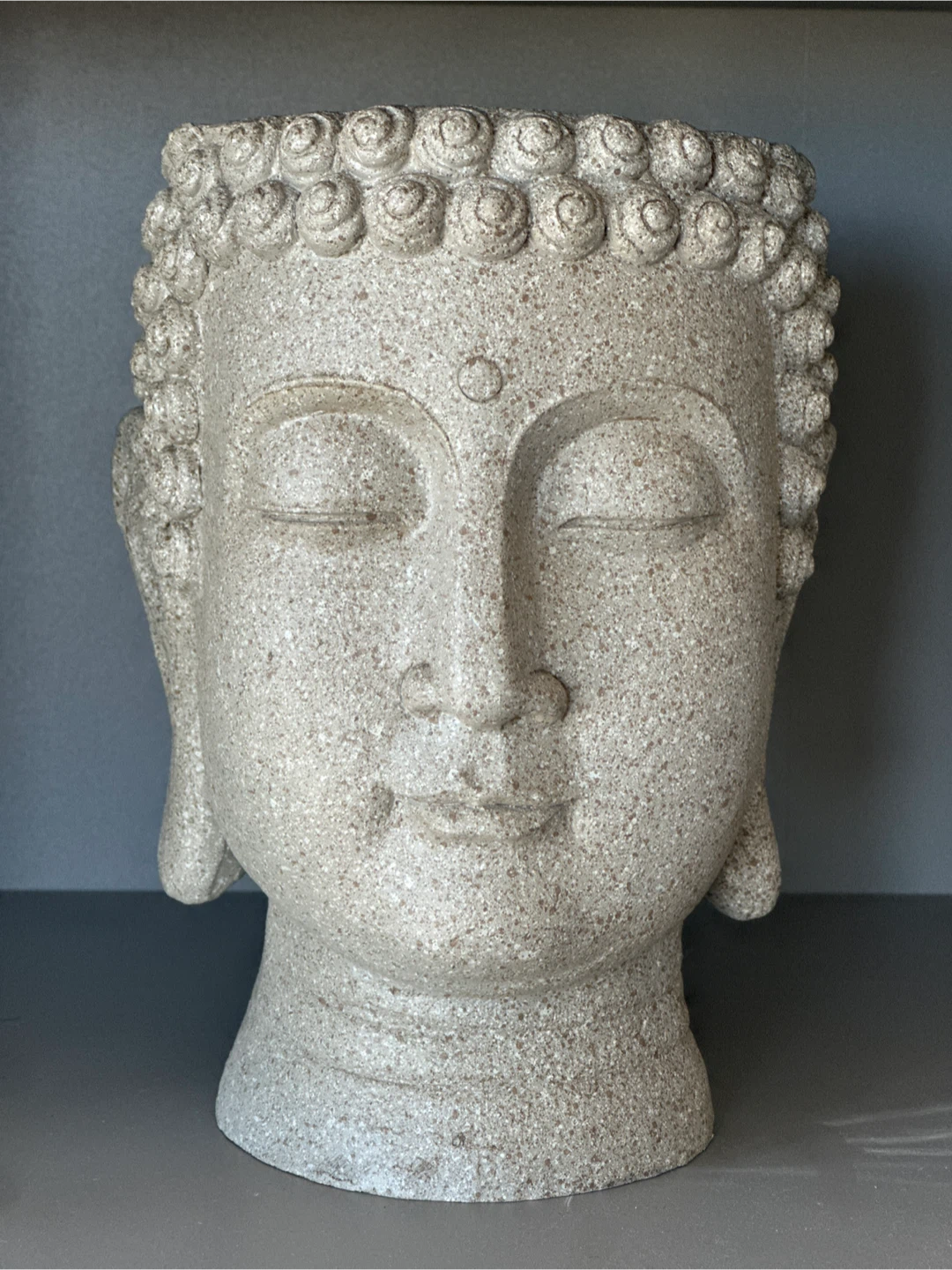 Buddha Head Planter