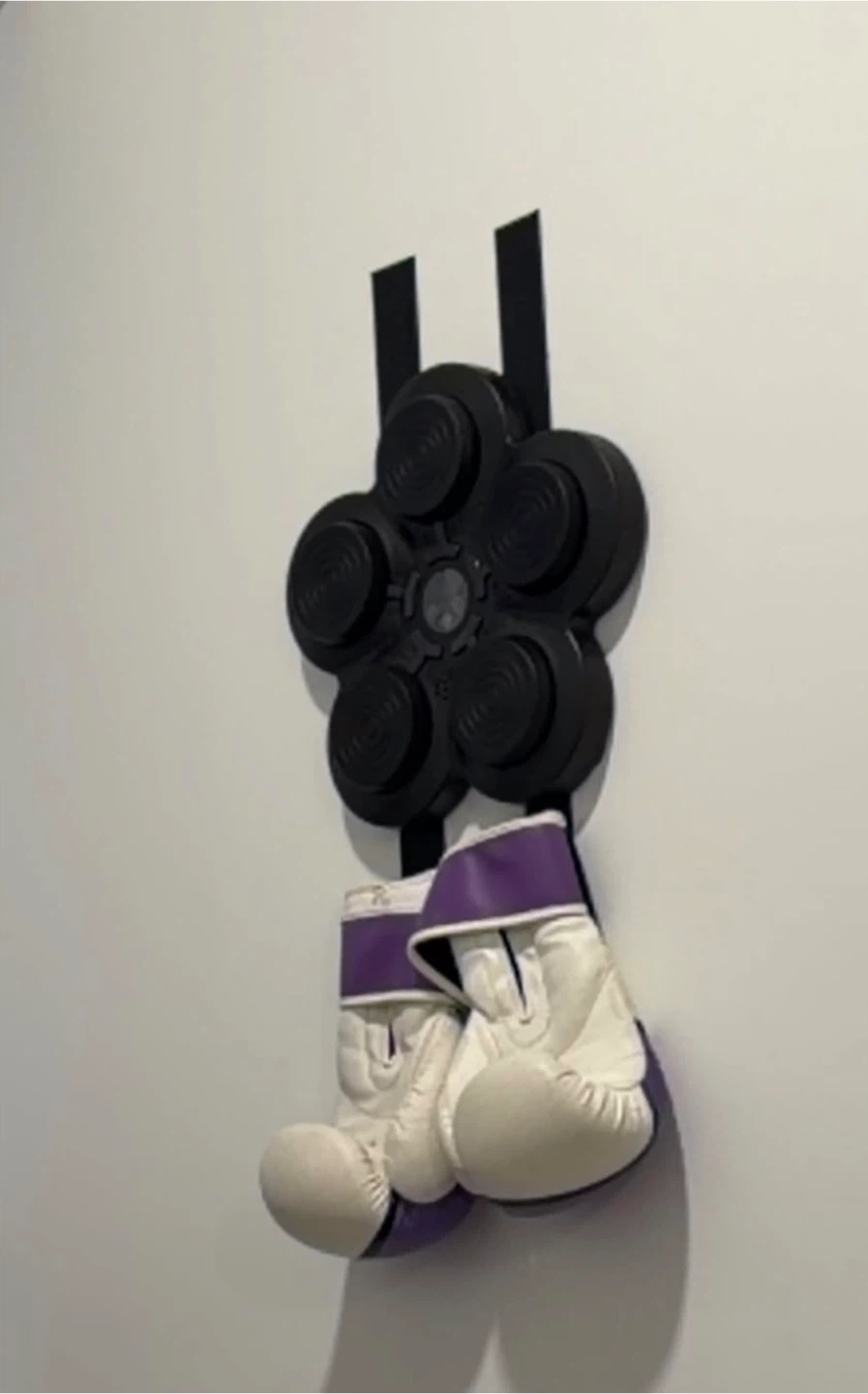 Wall-mounted boxing target with gloves