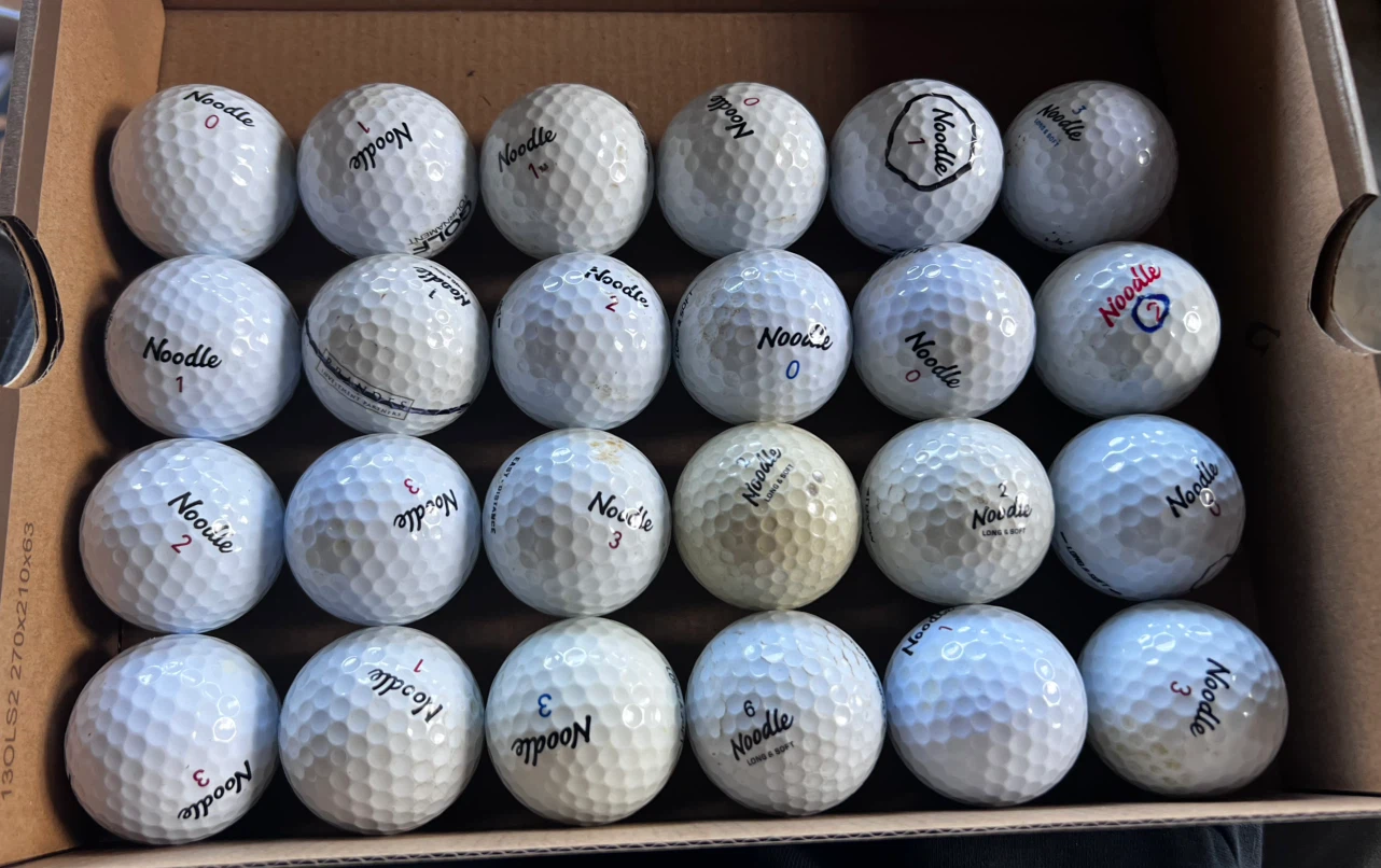 24 used Noodle Golf Balls