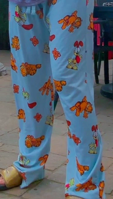 Gardfield pj pants(medium)HOT TOPIC