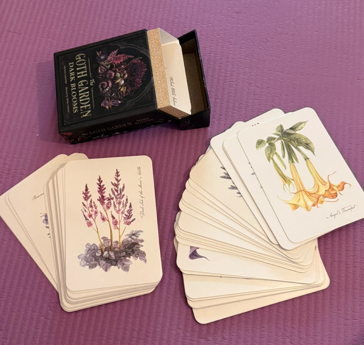 🏈The Goth Garden: Dark Blooms Postcard Collection - photo 2