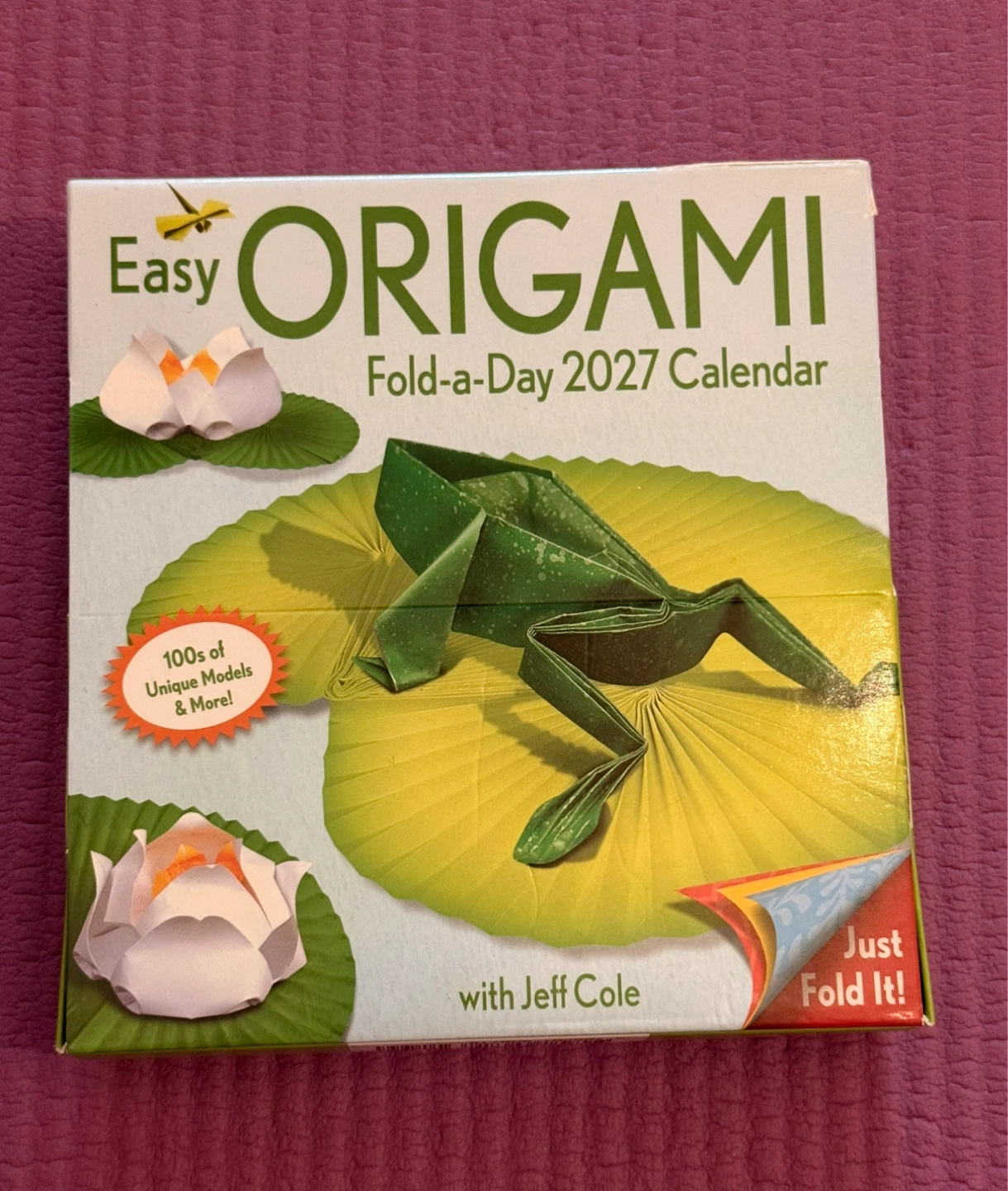 🏈Easy Origami Fold-a-Day 2027 Calendar