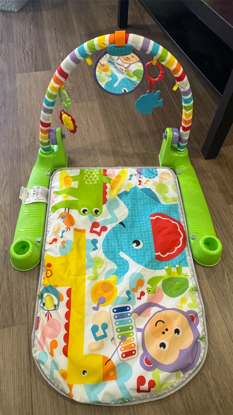Fisher-Price Baby Activity Gym