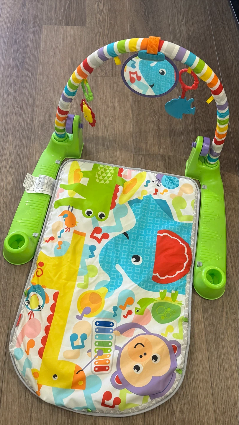 Fisher-Price Baby Activity Gym - photo 2
