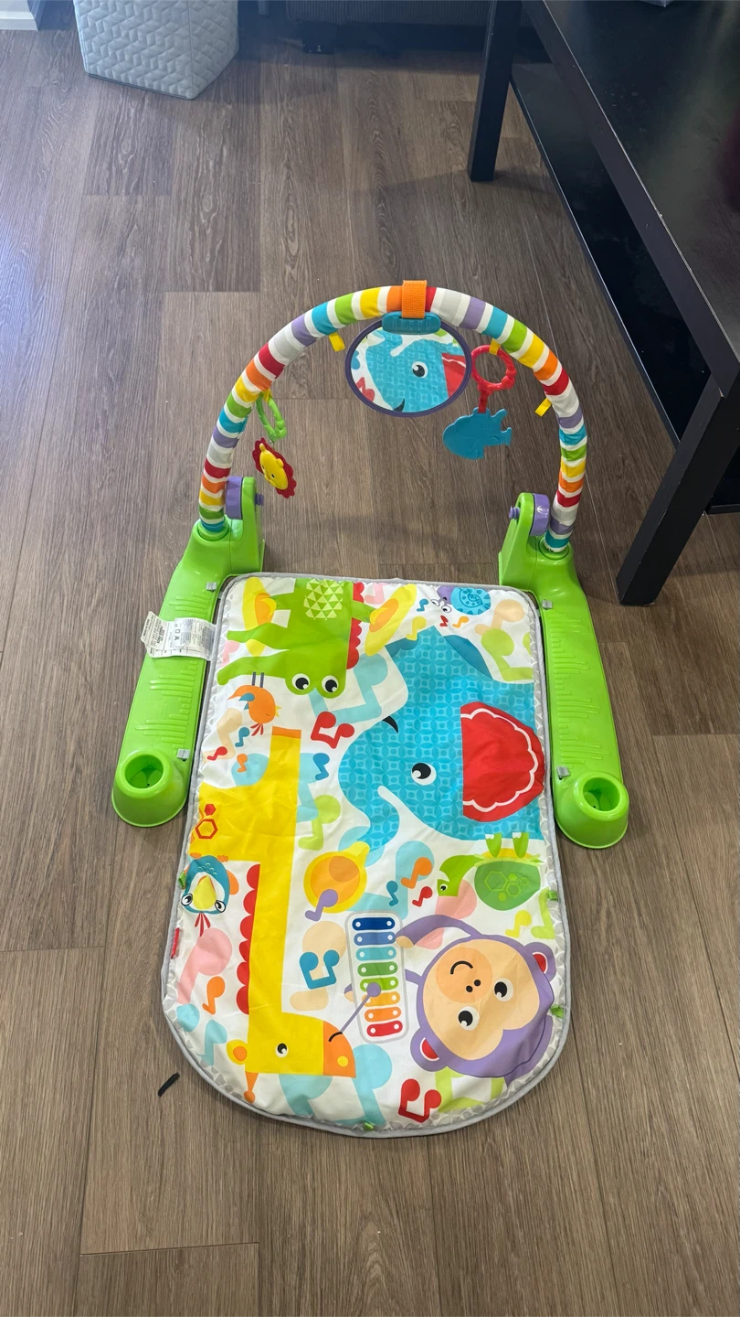 Fisher-Price Baby Activity Gym - photo 3