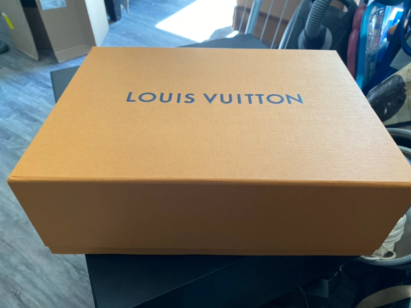 Louis Vuitton storage box