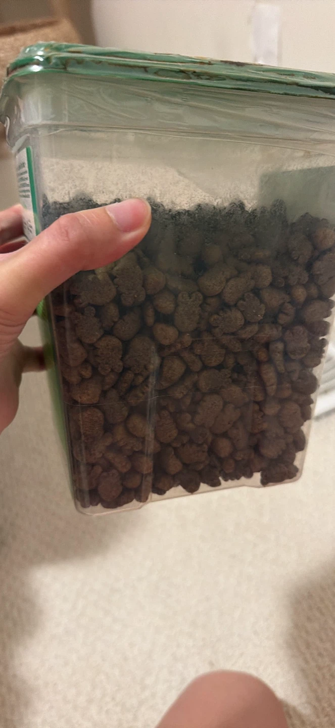 Feline Greenies Catnip Flavor Dental Treats 595g🏈 - photo 3