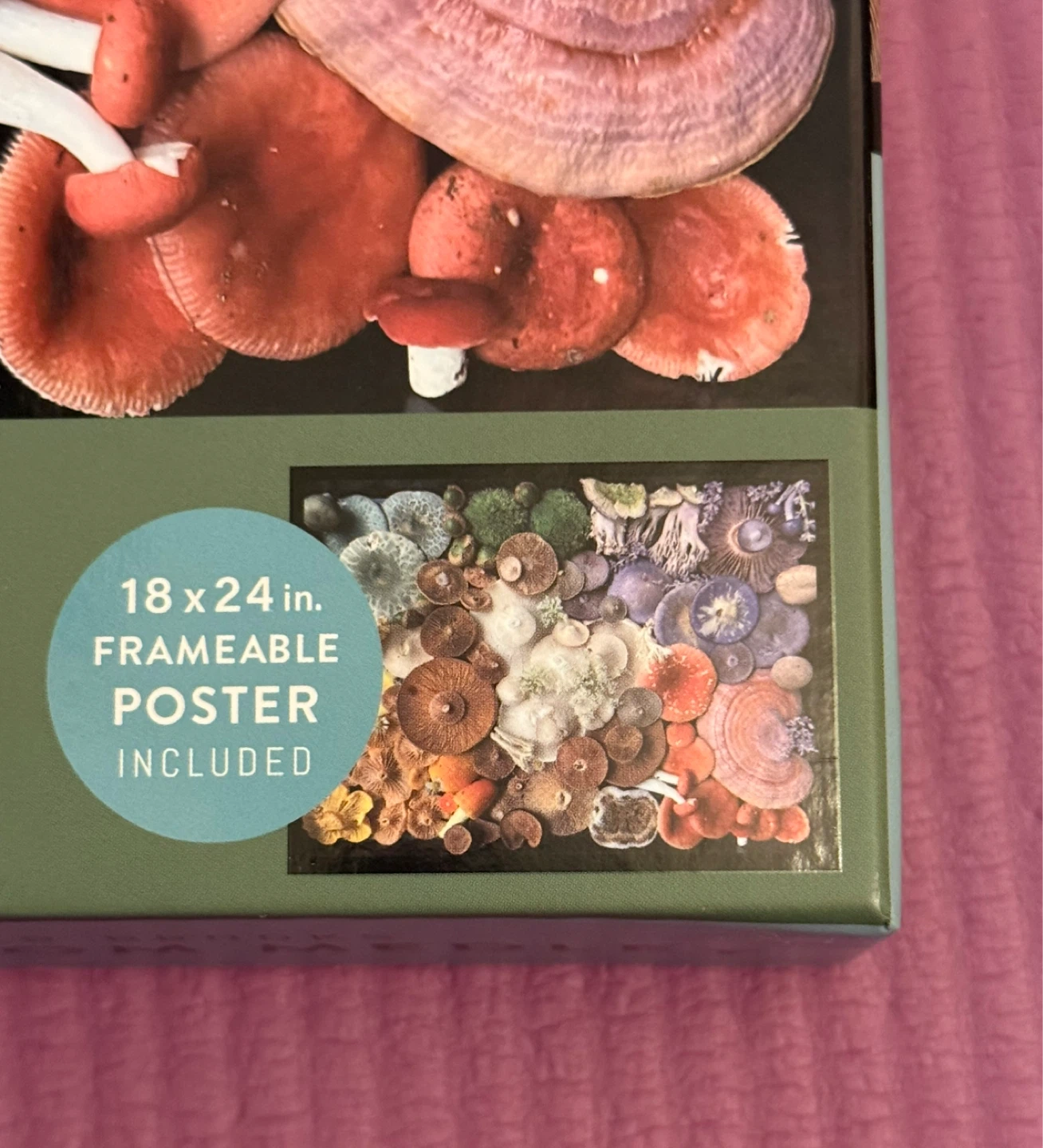 🏈Heather Brooks Mushroom Medley 1000-Piece Puzzle - photo 3