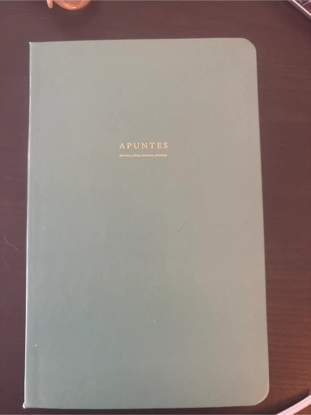 Sage Green Apuntes Notebook