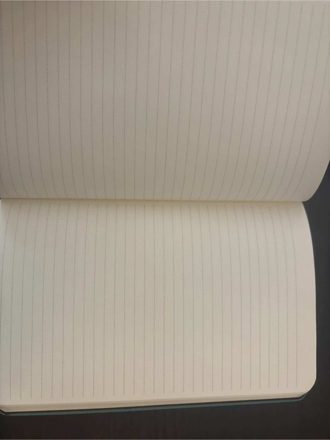 Sage Green Apuntes Notebook - photo 2