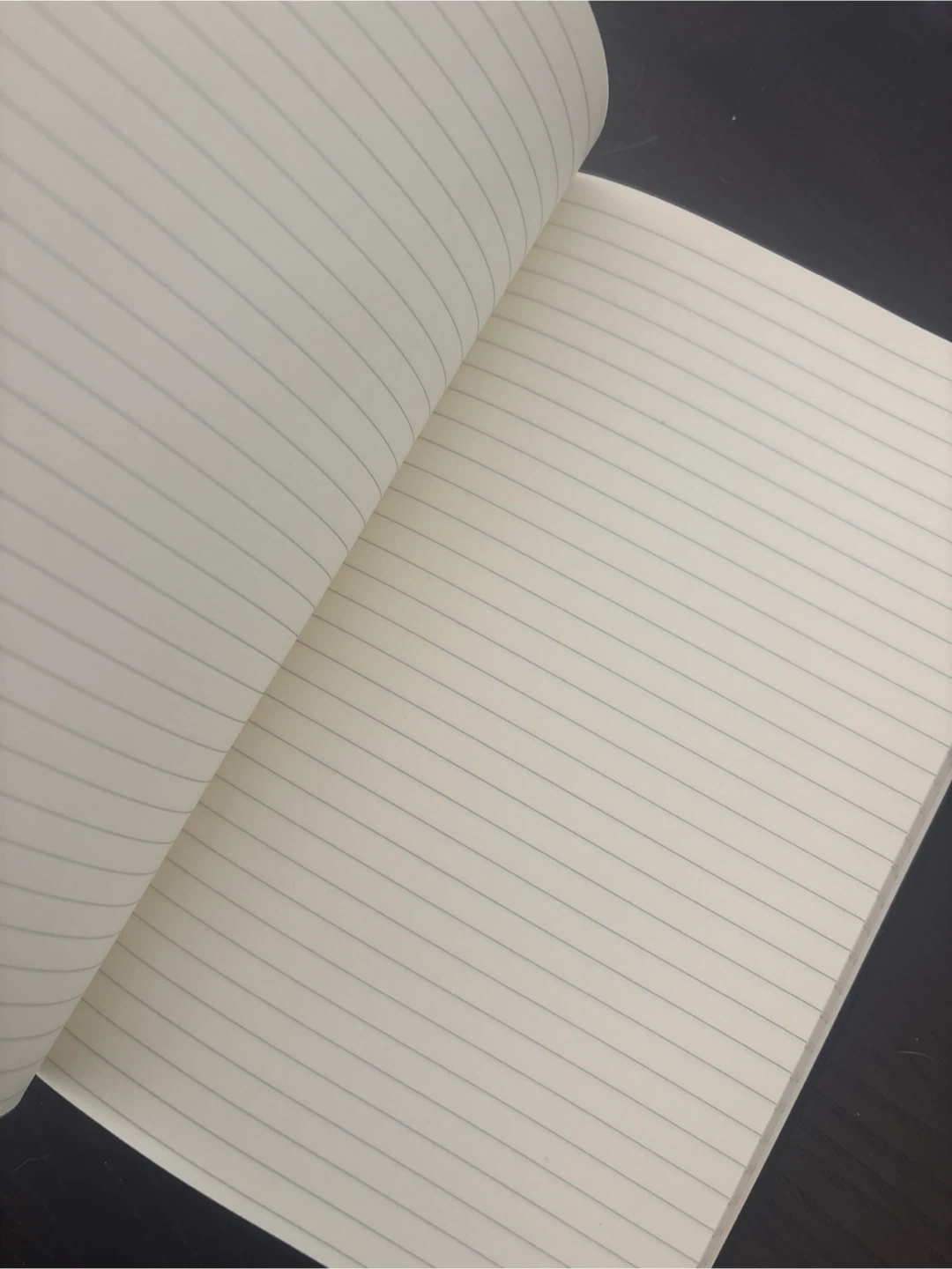 BSO Purple Ruled Notebook - photo 3