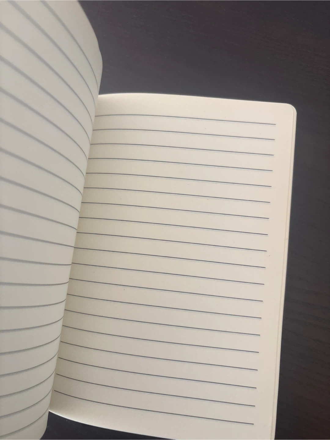 FedEx Office Notebook - photo 2