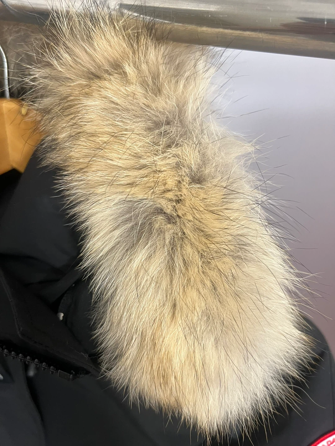 Canada Goose Black CHILLIWACK BOMBER - photo 2