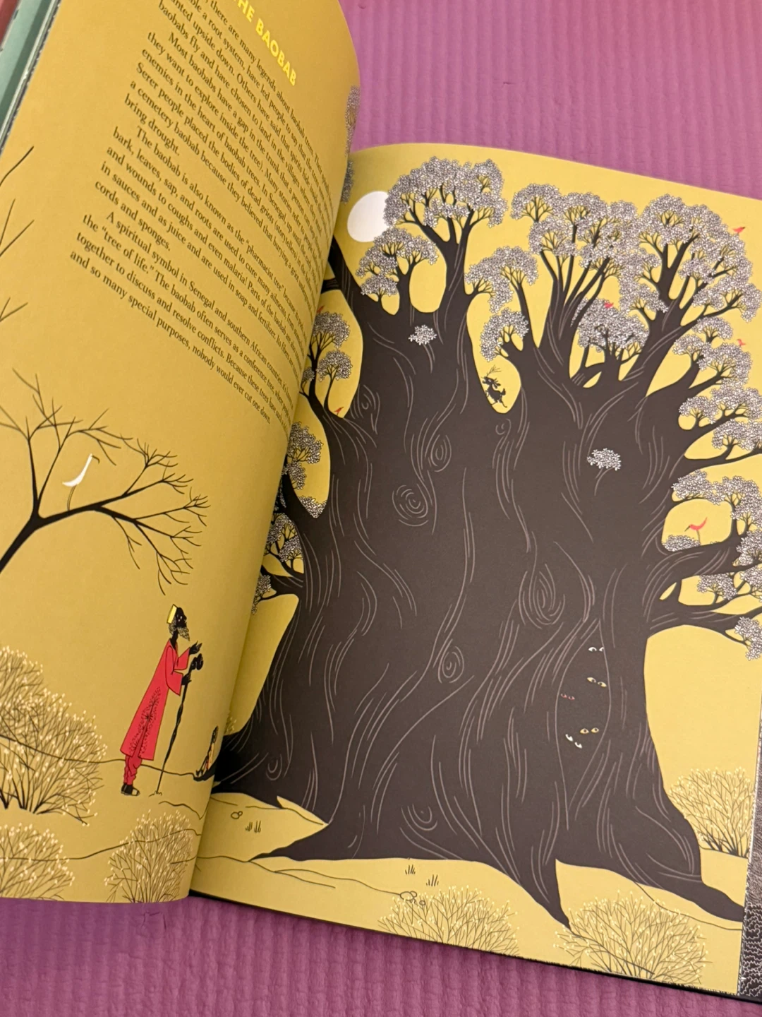 🏈Every Tree Has a Story Book - photo 2