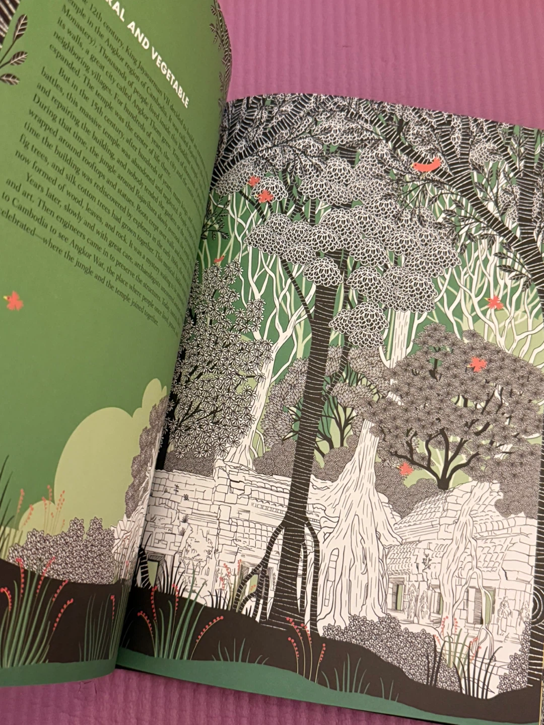 🏈Every Tree Has a Story Book - photo 3