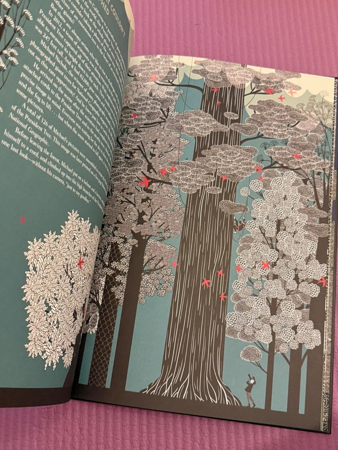 🏈Every Tree Has a Story Book - photo 4
