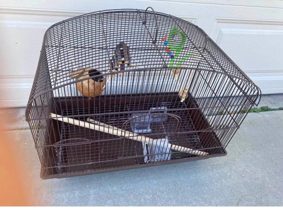 🏈large Bird cage with FREE FOOD