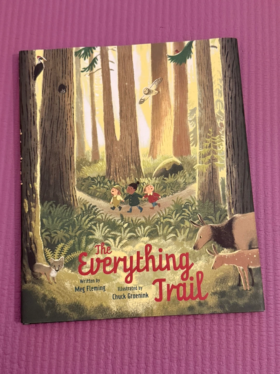 🏈The Everything Trail by Meg Fleming