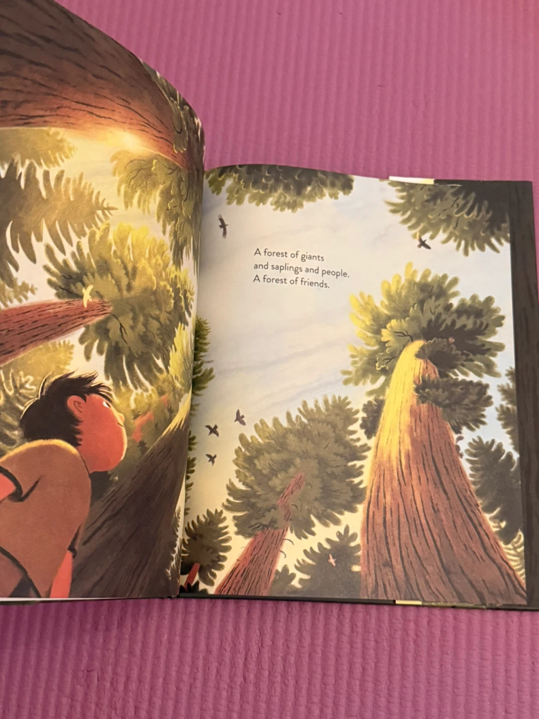 🏈The Everything Trail by Meg Fleming - photo 2