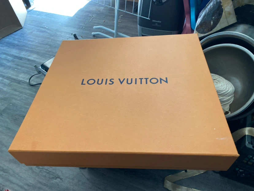 Louis Vuitton storage box