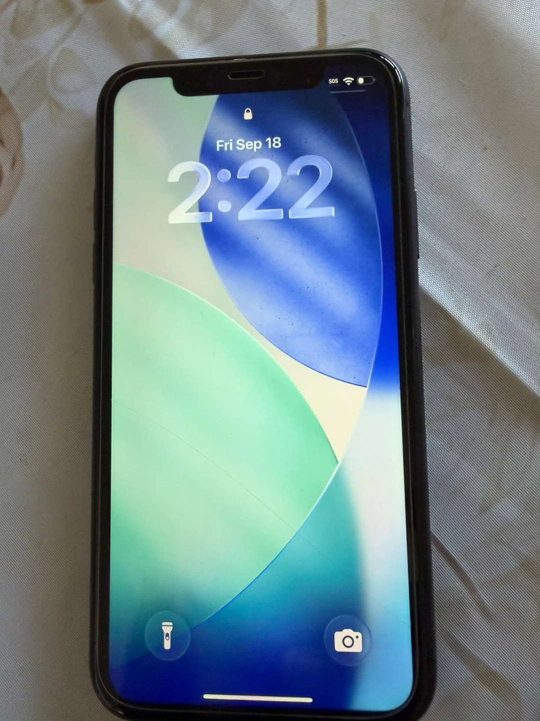 Black Apple iPhone 11 with case