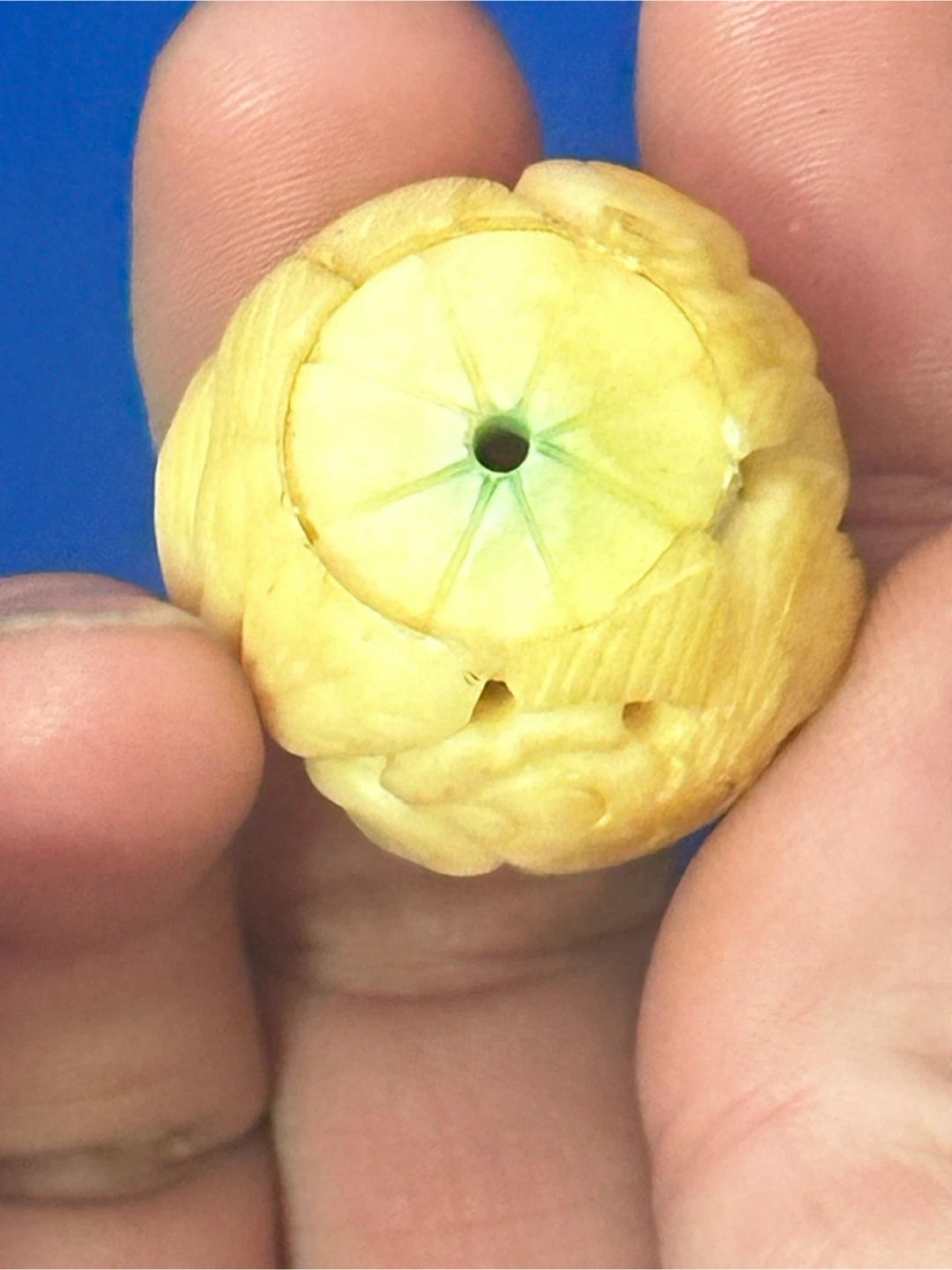 Vintage 1 1/8" Carved Bone Chinese Puzzle Ball - photo 4