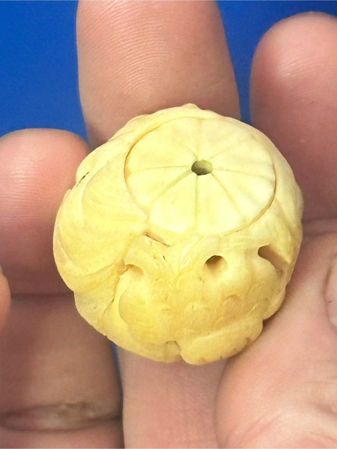 Vintage 1 1/8" Carved Bone Chinese Puzzle Ball - photo 5