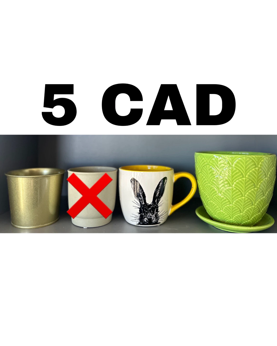 Set of 4 Assorted Planters and Mug