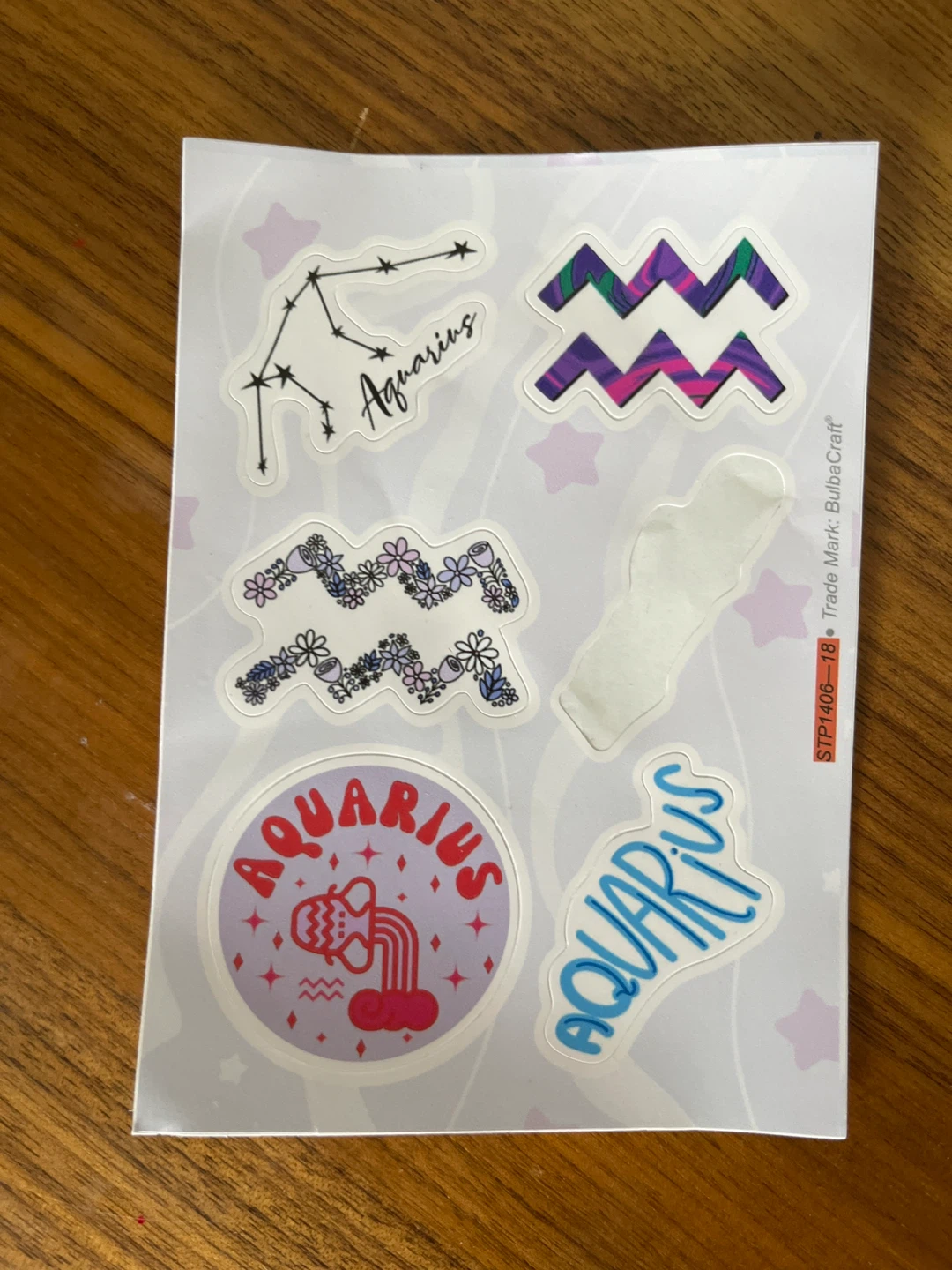 🏈 BulbaCraft Aquarius Zodiac Sticker Sheet