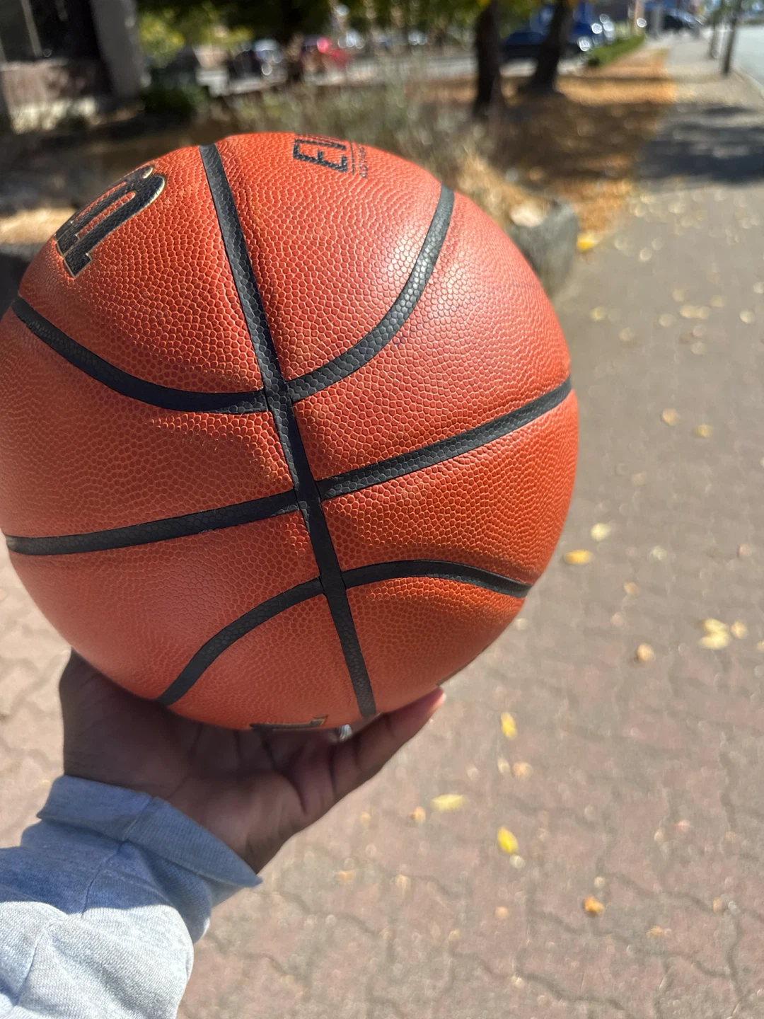 Wilson Evolution Size 7 Basketball - photo 2