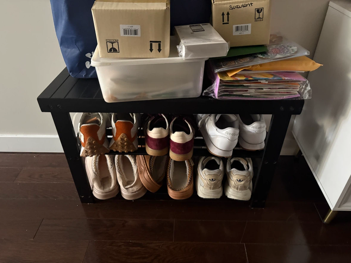 Black 2-Tier Shoe Rack