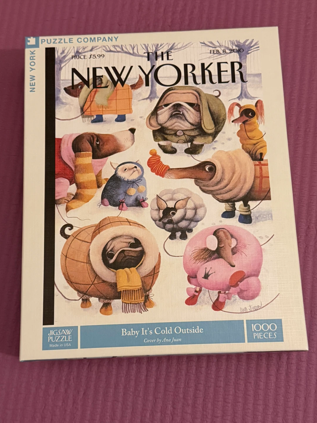 🏈New York Puzzle Company 1000 Piece Jigsaw Puzzle