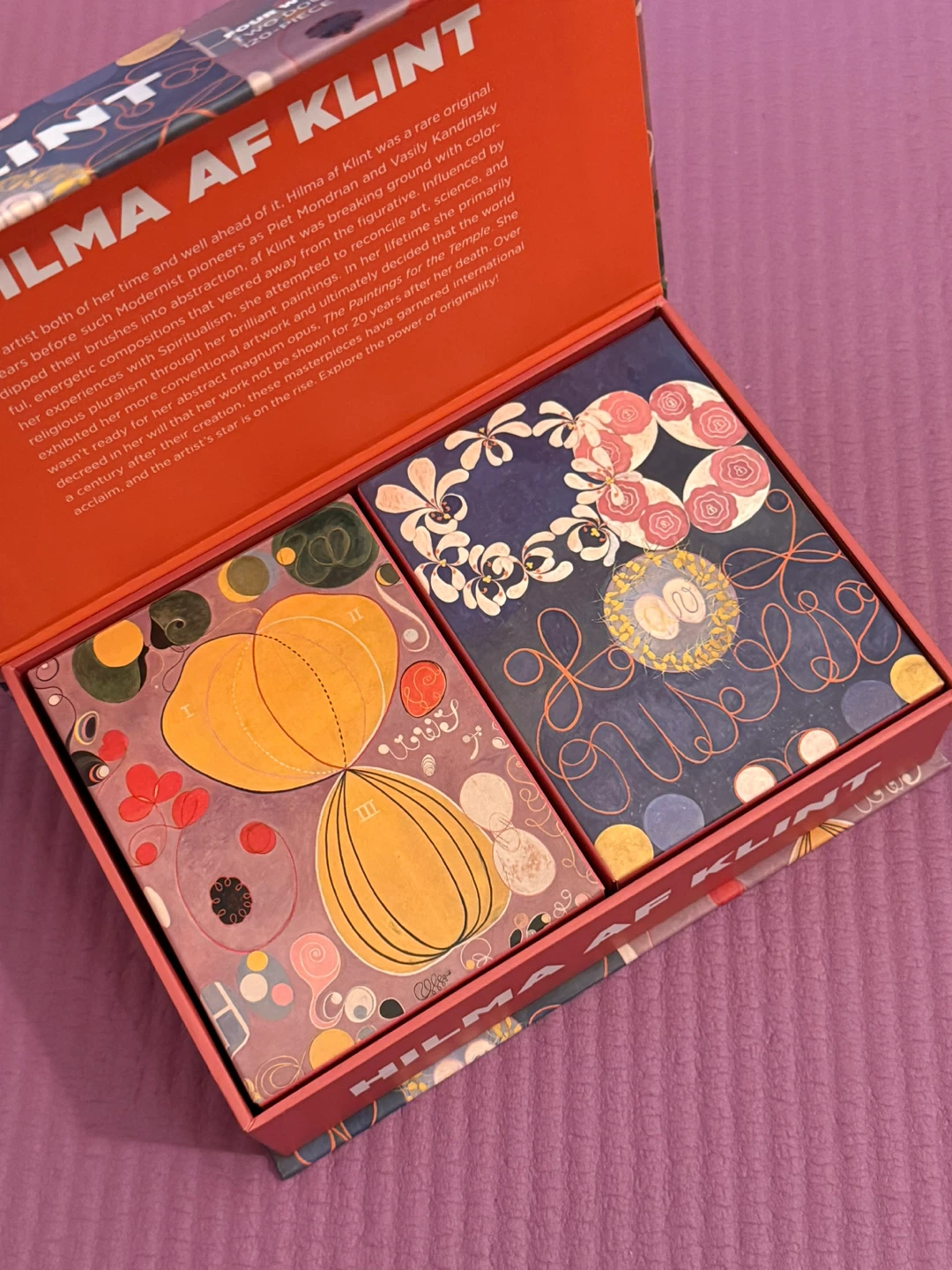 🏈Hilma af Klint Puzzle Set