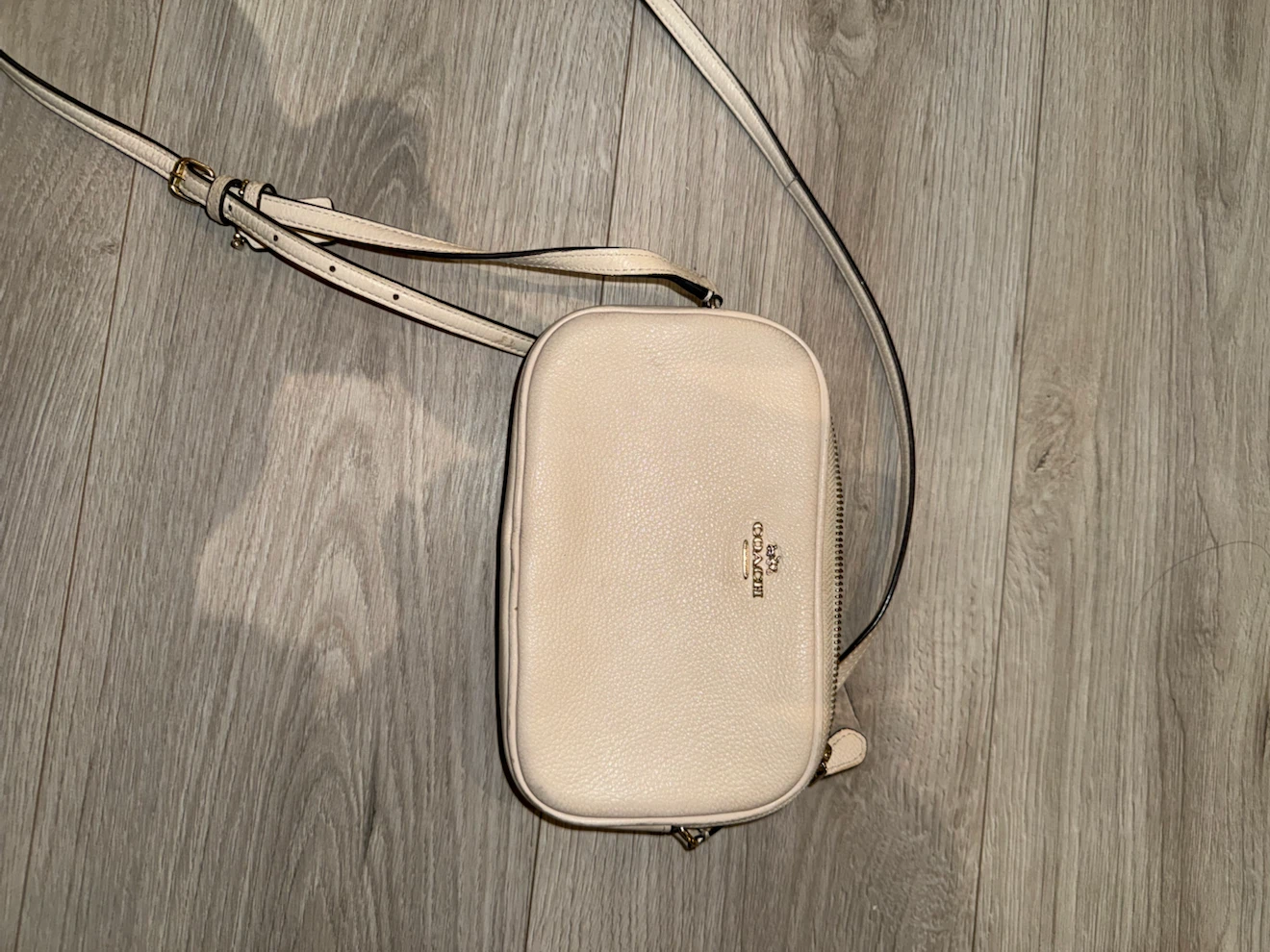 Coach & Michael Kors Crossbody Bag