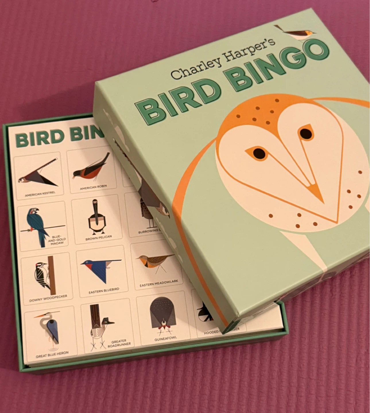 🏈Charley Harper's Bird Bingo Game
