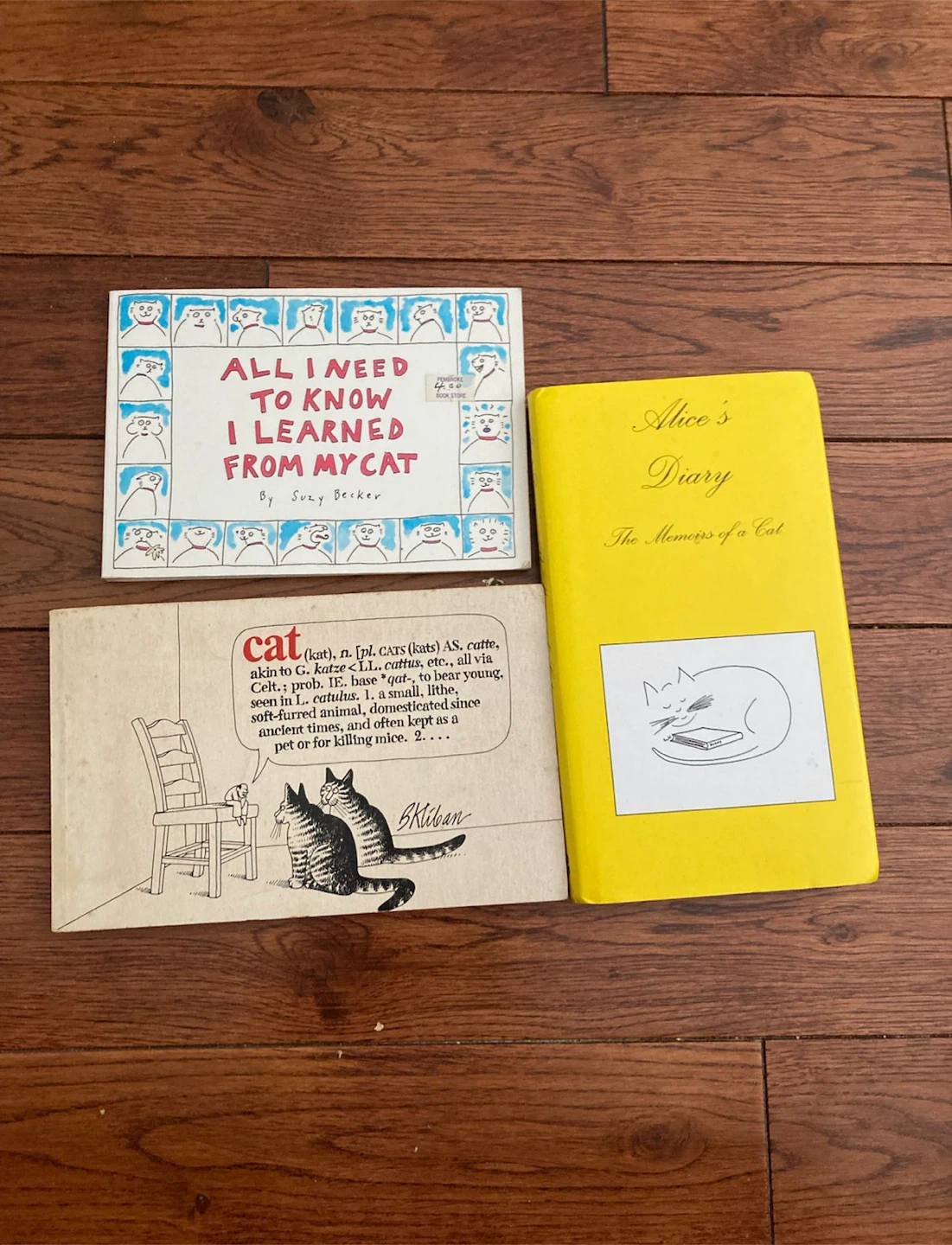 🏈Set of 3 Vintage Cat Books