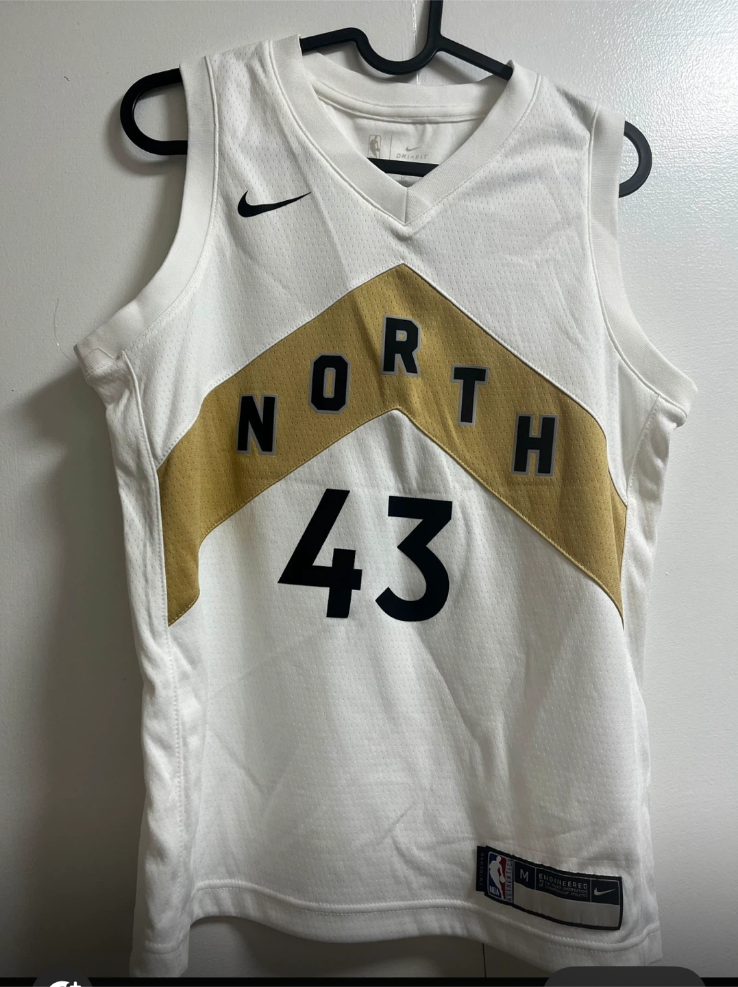 🏈Nike Toronto Raptors Siakam Jersey