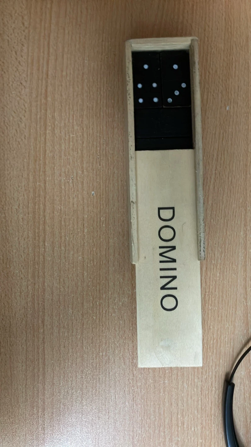 Wooden Domino Set