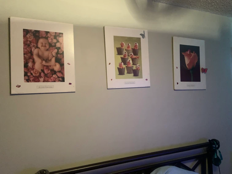 Set of 3 Anne Geddes Wall Art Prints