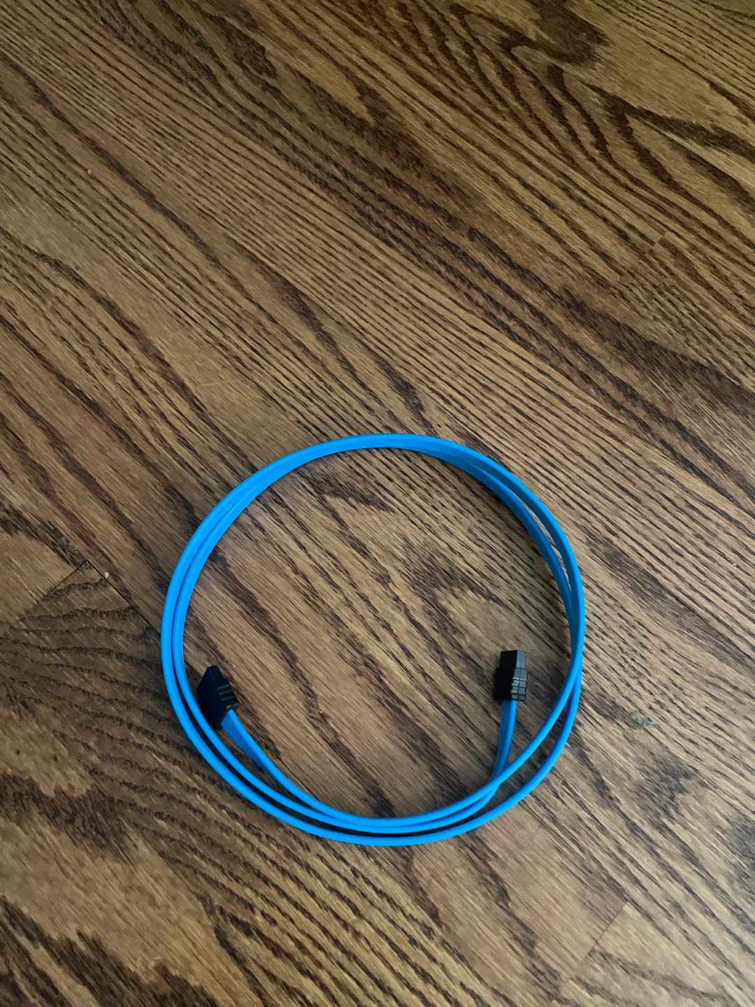 🏈 Blue SATA Cable
