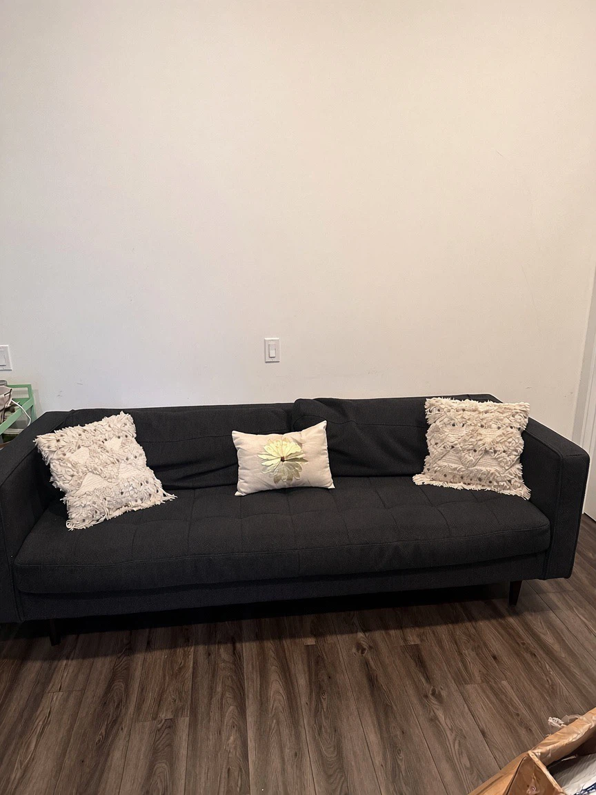 Couch for $100