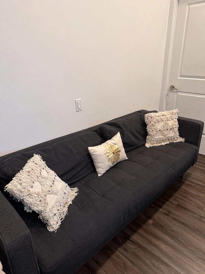 Couch for $100 - photo 2